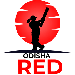UGA Flag