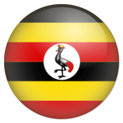 UGA Flag