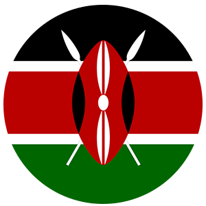 NAM Flag